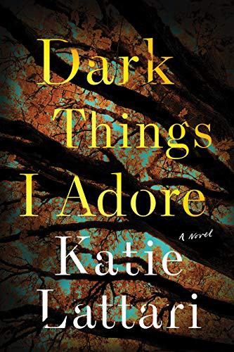 Katie Lattari: Dark Things I Adore (Hardcover, 2021, Sourcebooks Landmark)