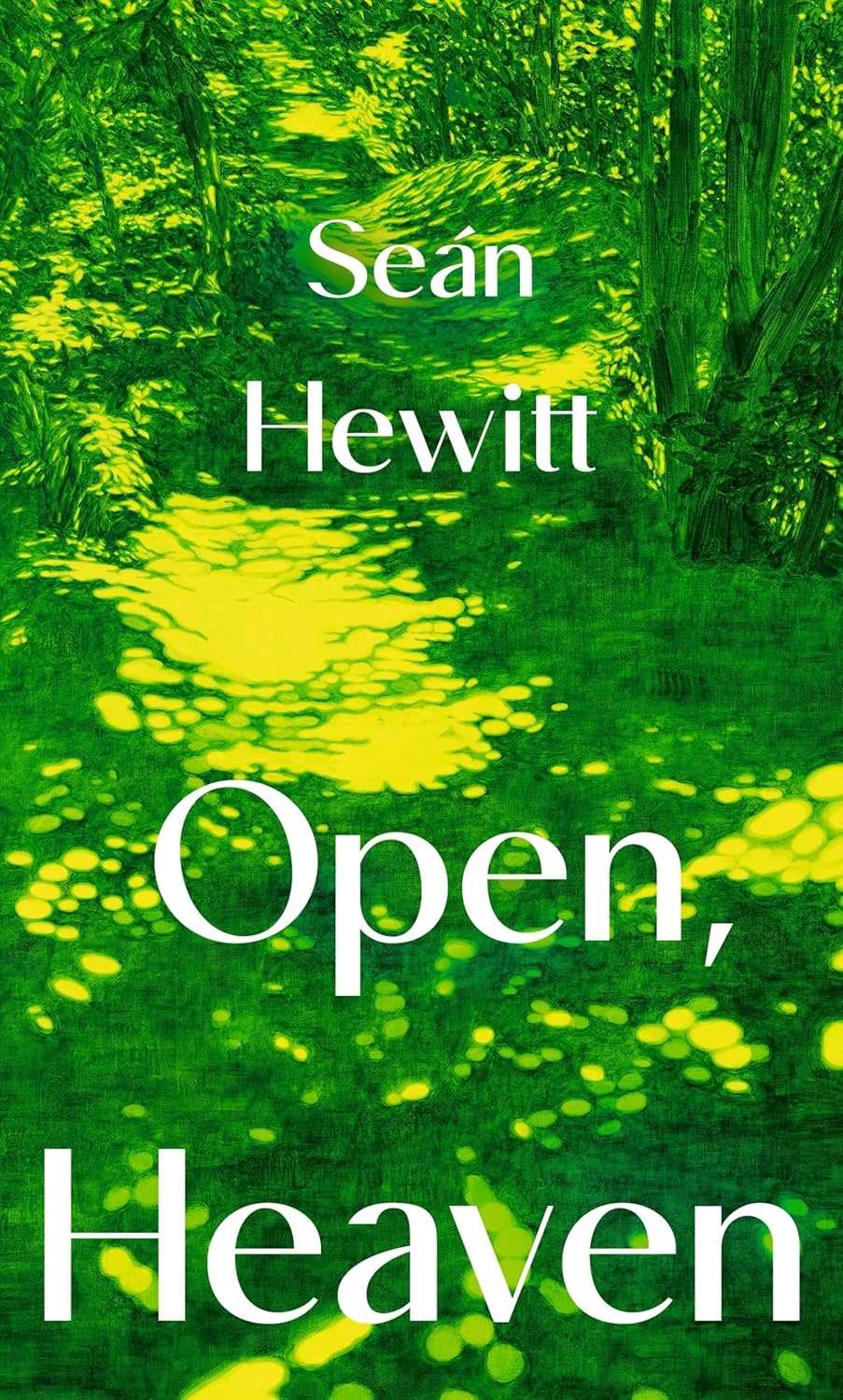 Seán Hewitt: Open, Heaven (2025, Penguin Random House)
