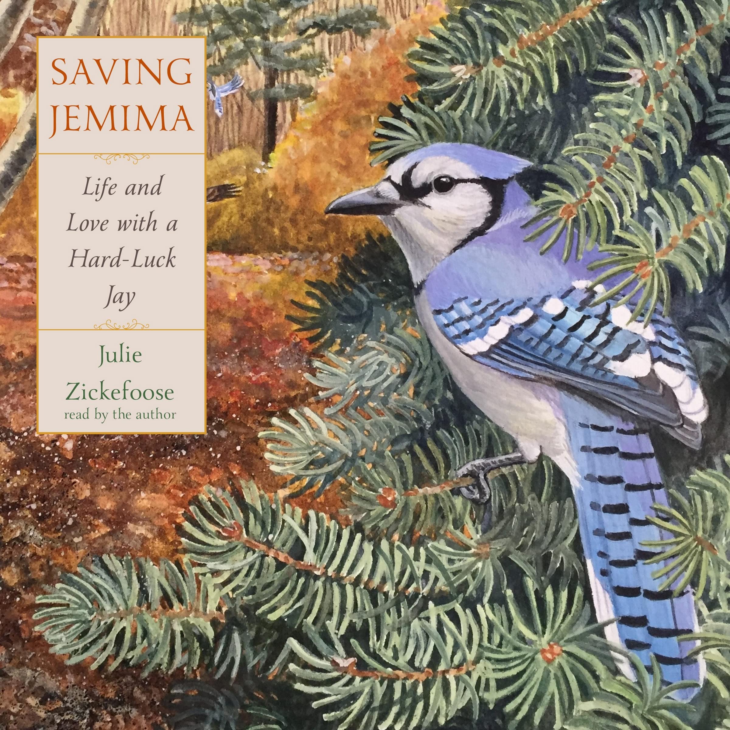 Julie Zickefoose: Saving Jemima (Hardcover, Mariner Books)