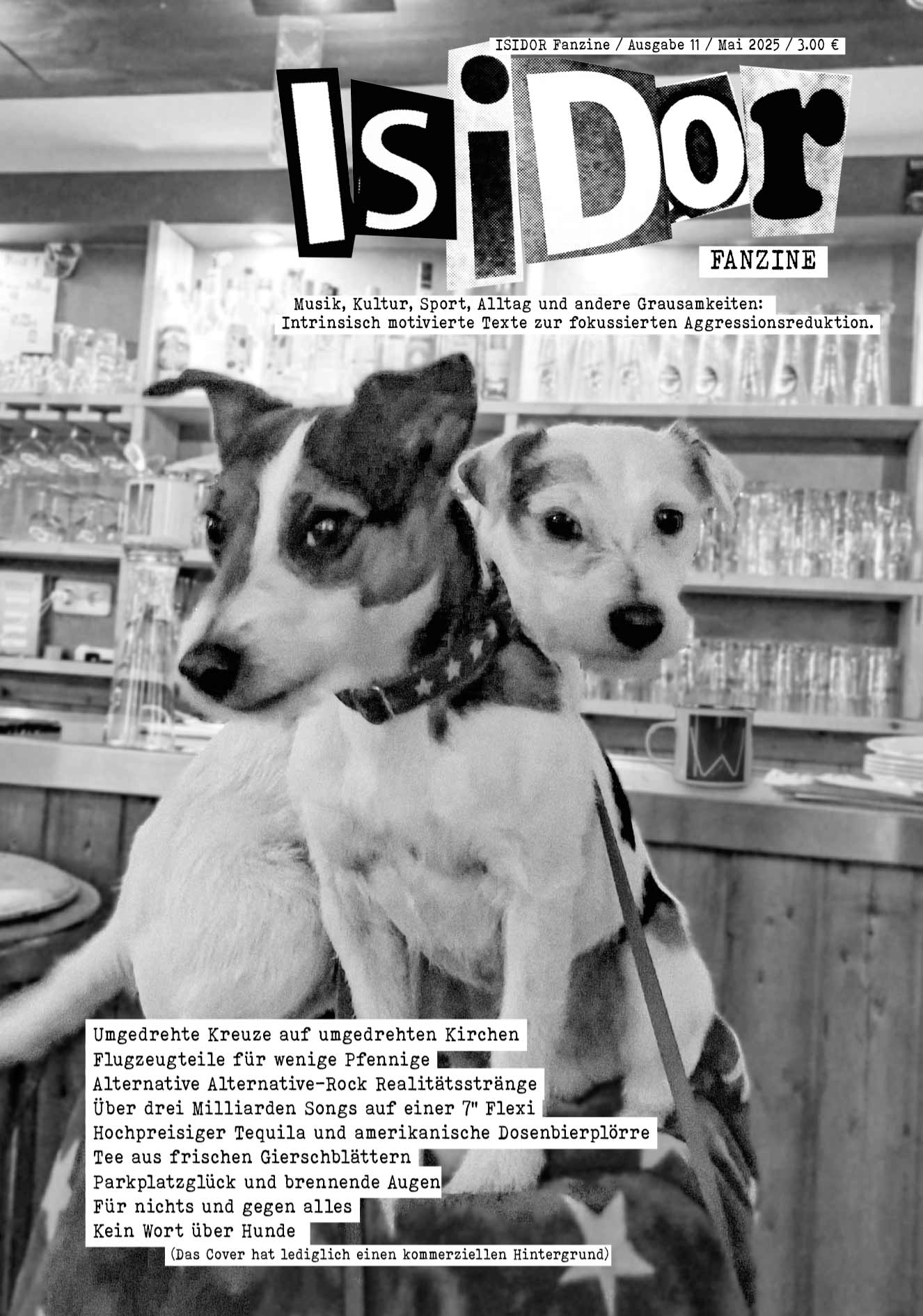 Kai Eric Ellermann, David Staege, Bernd Spring: Isidor Fanzine - Ausgabe 11 (Paperback, Deutsch language)