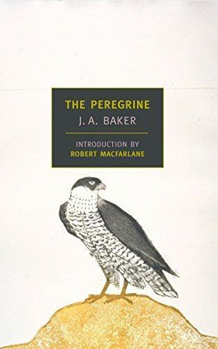 John Alec Baker: The Peregrine