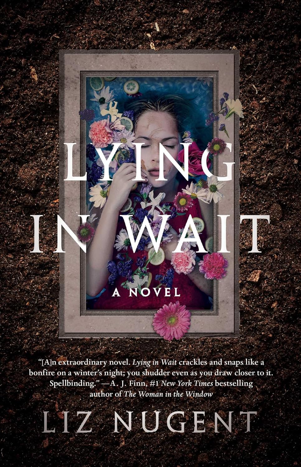 Liz Nugent: Lying in Wait (Paperback, 2019, Scout Press)