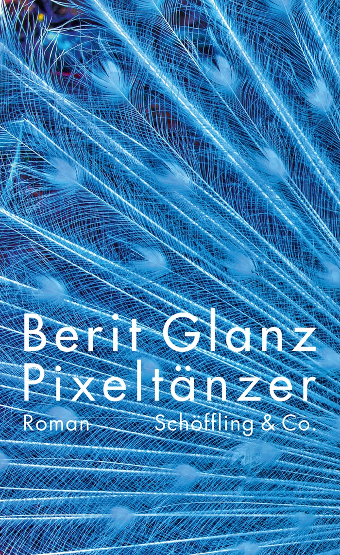 Berit Glanz: Pixeltänzer (German language, 2020, Schöffling & Co.)