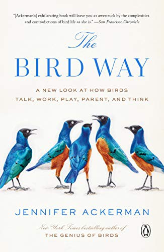 Jennifer Ackerman: The Bird Way (Paperback, 2021, Penguin Books)