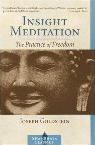 Joseph Goldstein, Sharon Salzberg: Insight Meditation (2003)