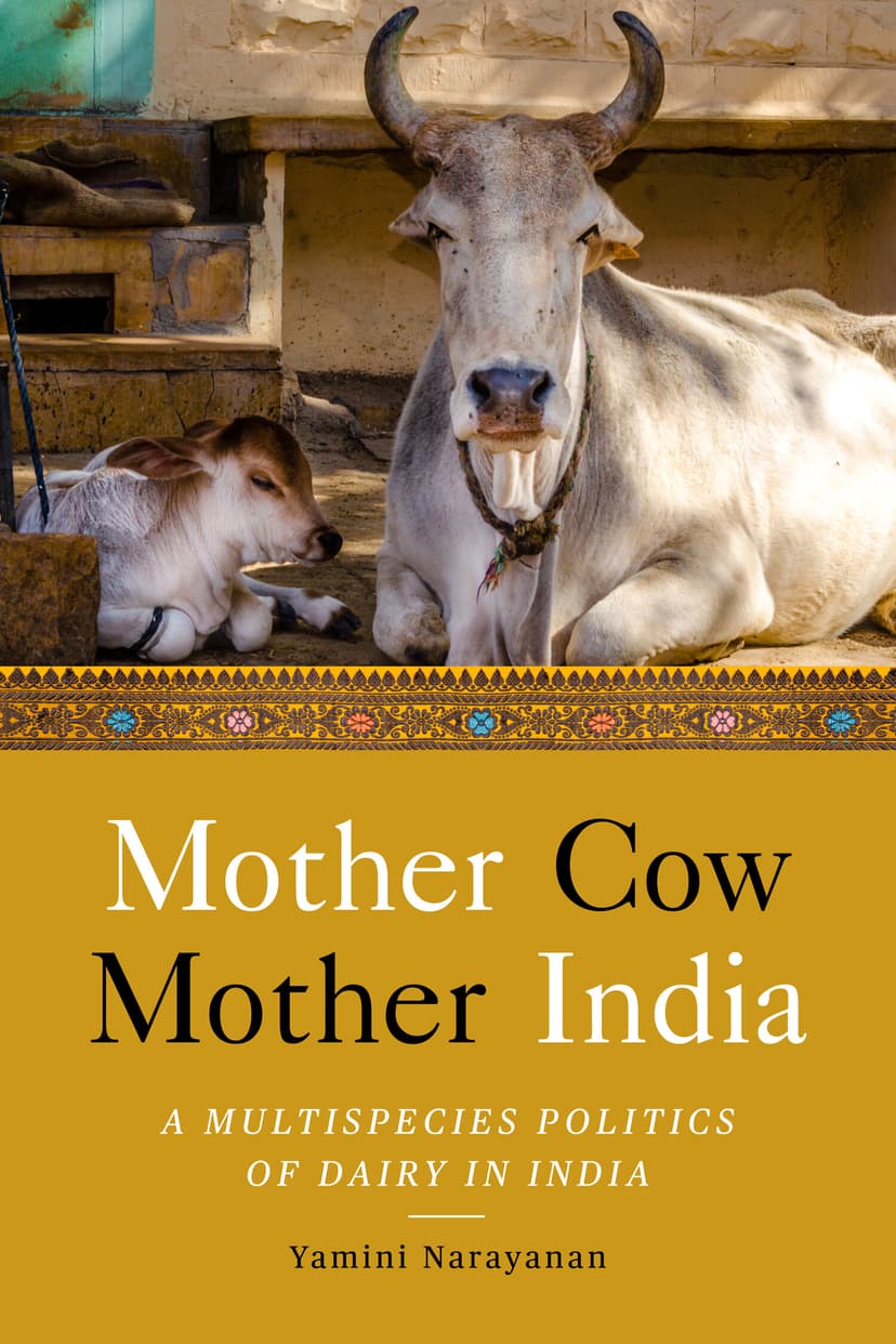 Yamini Narayanan: Mother Cow, Mother India (2022, Stanford University Press)