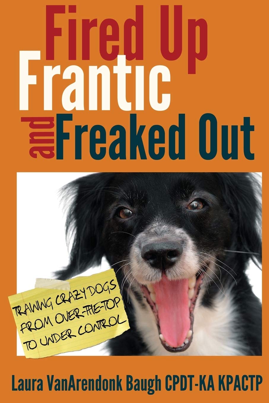 Laura VanArendonk Baugh: Fired up, frantic, and freaked out (EBook, 2013, Aeclipse Press)