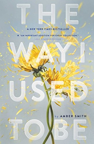Amber Smith: The Way I Used to Be (Paperback, 2016, Margaret K. McElderry Books)