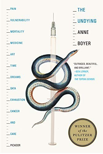Anne Boyer: The Undying (Paperback, 2020, Picador)