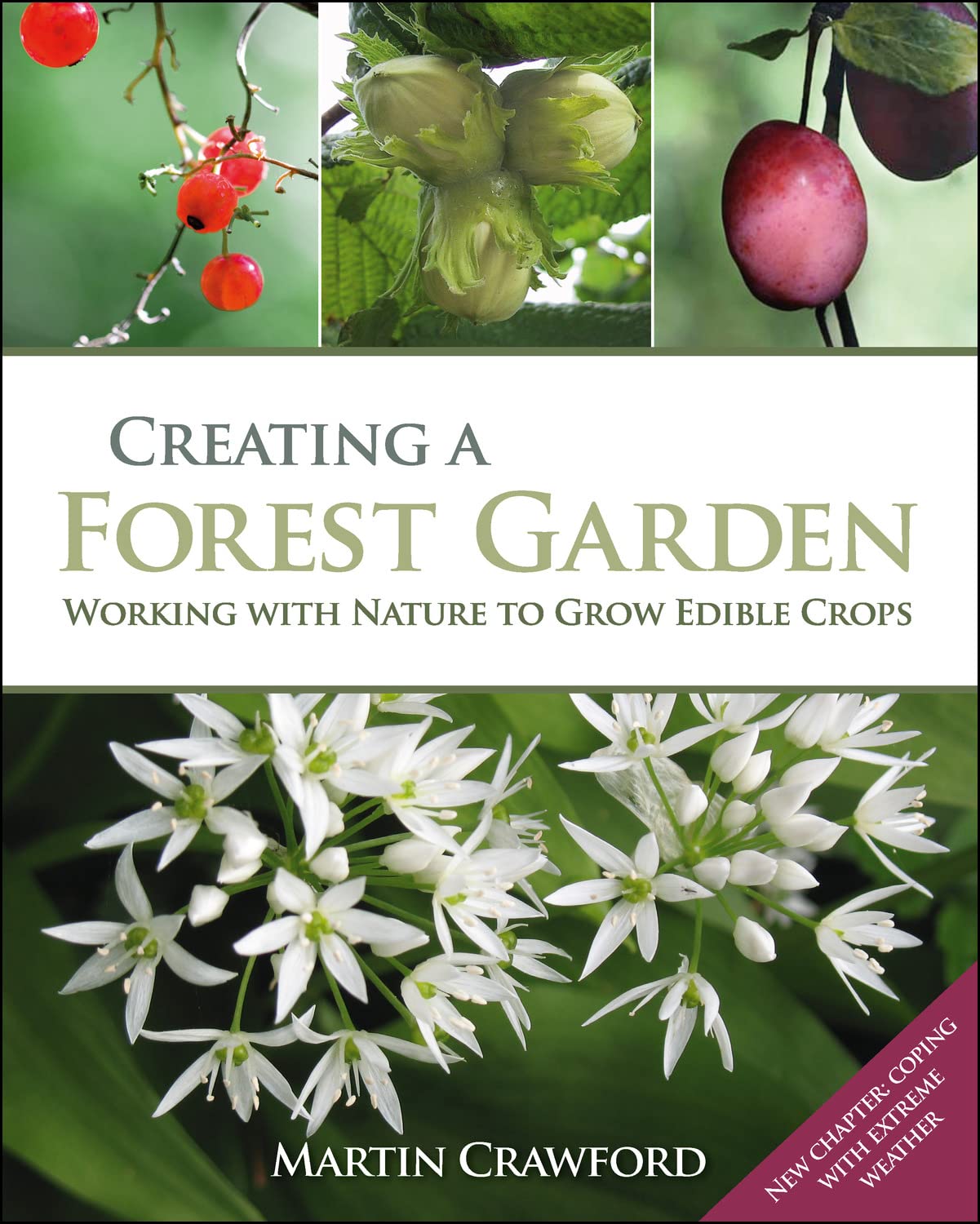 Martin Crawford: Creating a Forest Garden (Paperback, 2022, Green Books)