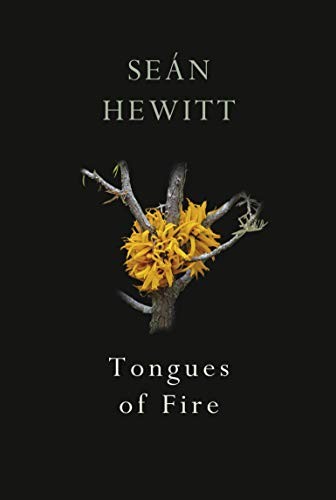 Seán Hewitt: Tongues of Fire (Paperback, 2020, Jonathan Cape)