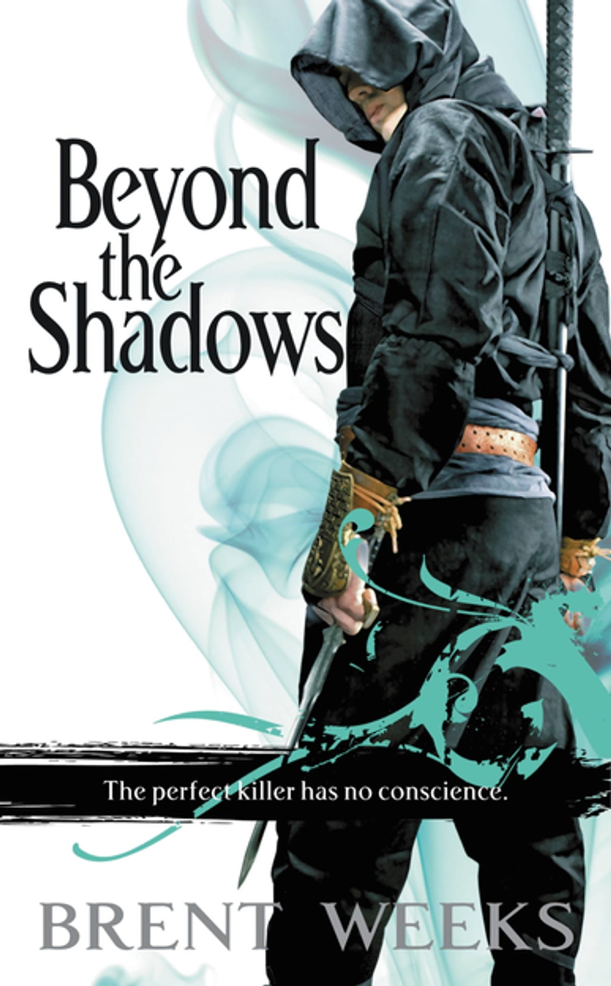 Brent Weeks: Beyond the Shadows (Paperback, 2008, Orbit)