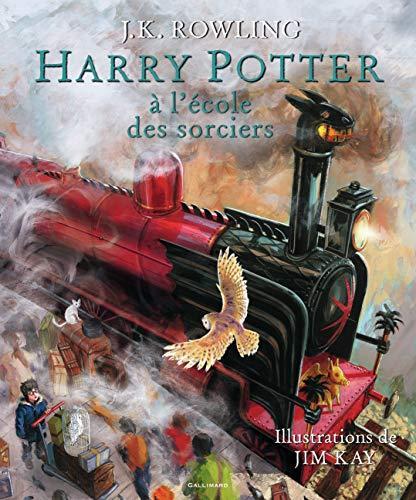 J.K. Rowling: Harry Potter à l'école des sorciers (French language, 2015)