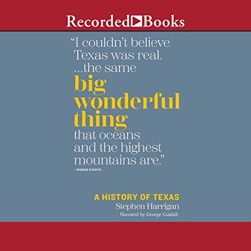 Stephen Harrigan: Big Wonderful Thing (AudiobookFormat, 2019, Recorded Books, Inc. and Blackstone Publishing)