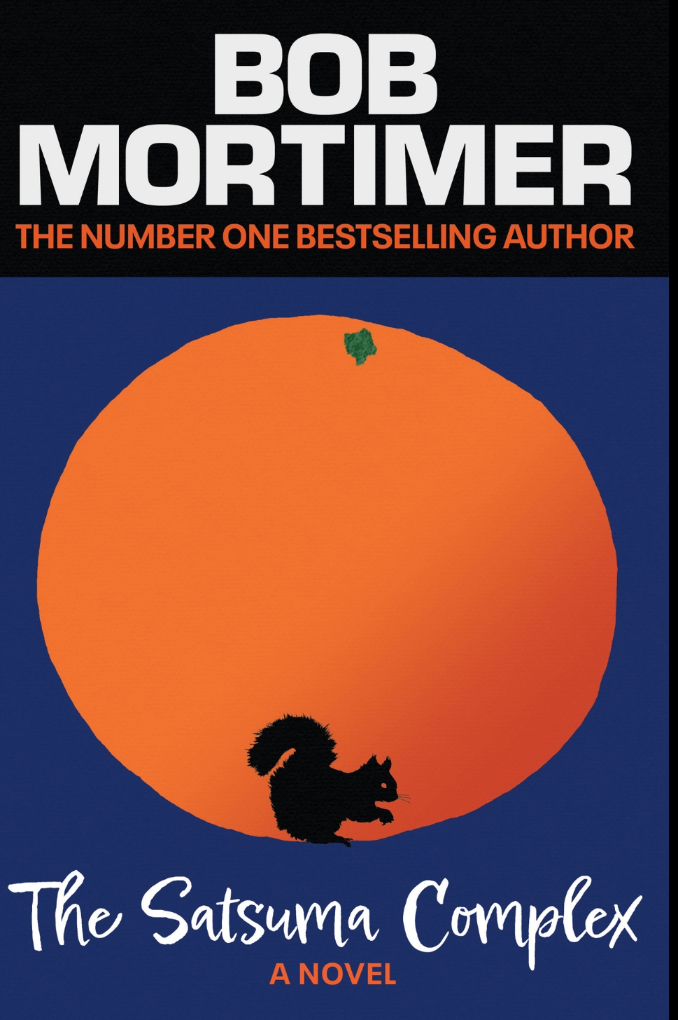 Bob Mortimer: The Satsuma Complex (EBook, Gallery UK)