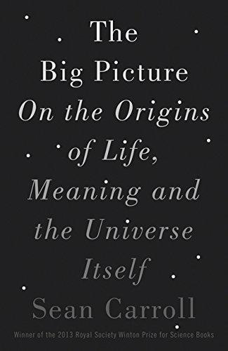 Douglas Kennedy: The Big Picture : On the Origins of Life, Meaning, and the Universe Itself (2016)