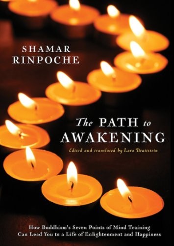 Shamar Rinpoche, Lara (trans.) Braitstein: The Path To Awakening (Paperback, 2014, Delphinium)