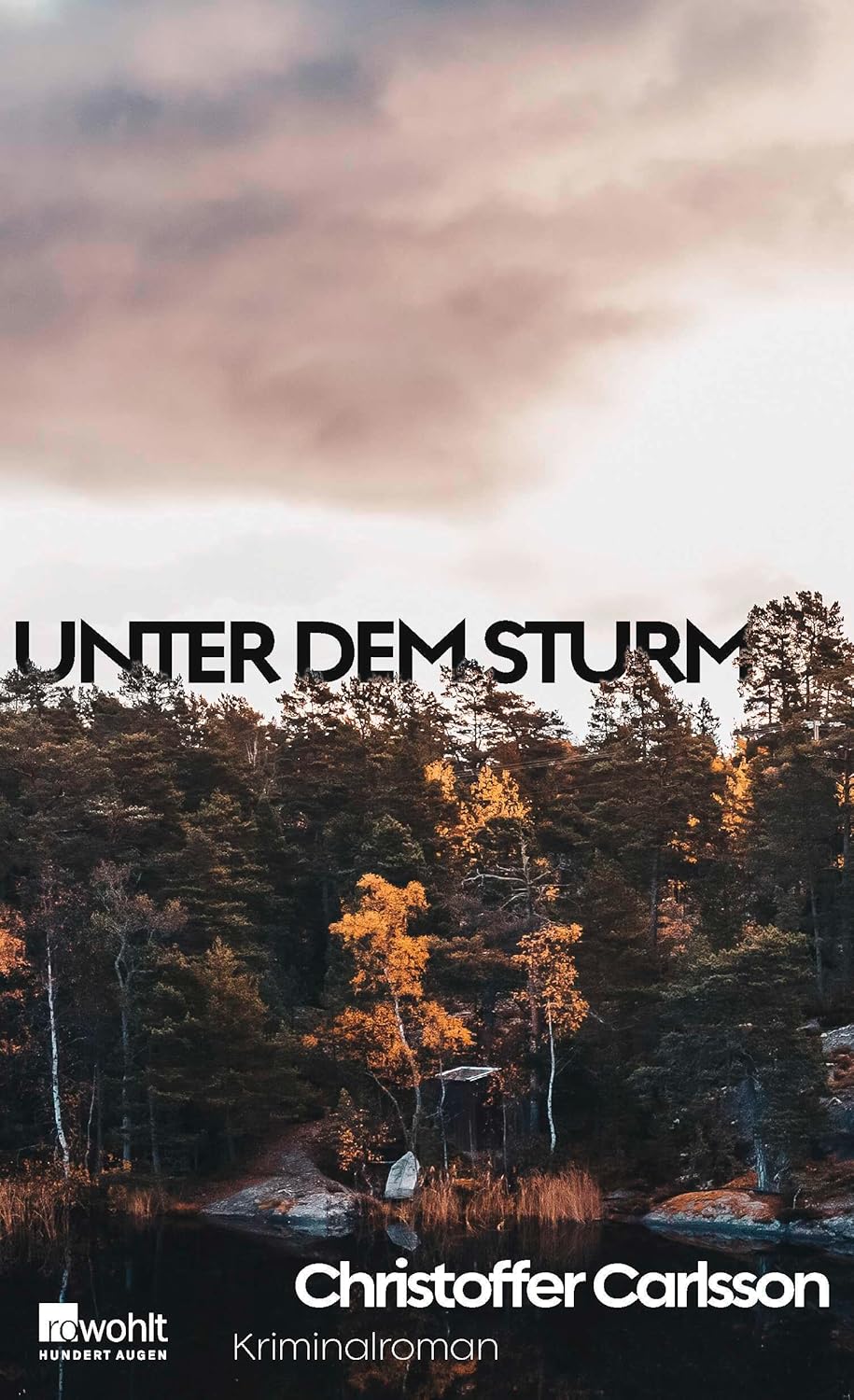Christoffer Carlsson: Unter dem Sturm (Hardcover, german language)