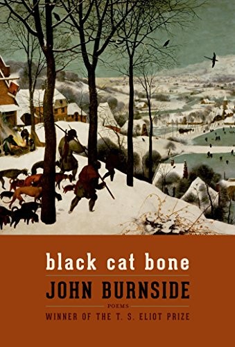 John Burnside: Black Cat Bone (Paperback, Graywolf Press)