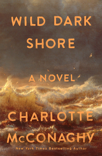 Charlotte McConaghy: Wild Dark Shore (Hardcover, Flatiron Books)