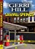 Gerri Hill: Sawmill Springs (2017, Bella Books)