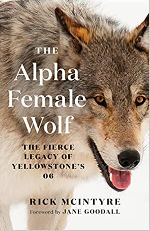 Rick McIntyre, Jane Goodall: Alpha Female Wolf (2022, Greystone Books Ltd.)