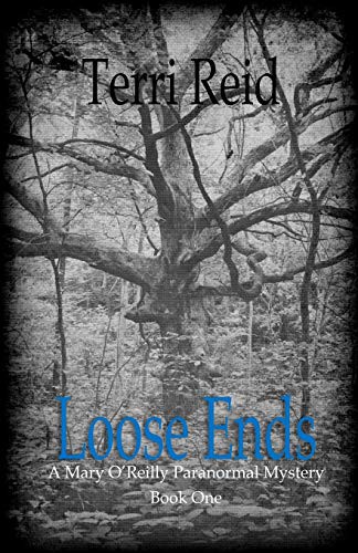 Terri Reid: Loose Ends (Paperback, 2012, CreateSpace Independent Publishing Platform)