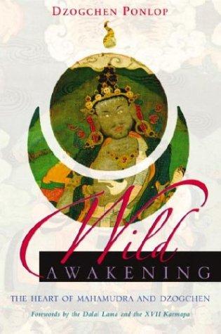 Dzogchen Ponlop Rinpoche: Wild awakening (2003, Shambhala)