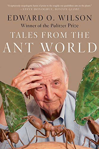 Edward O. Wilson: Tales from the Ant World (Paperback, 2021, Liveright)