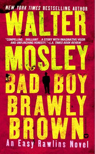 Walter Mosley: Bad Boy Brawly Brown (EBook, 2003, Little, Brown and Company)