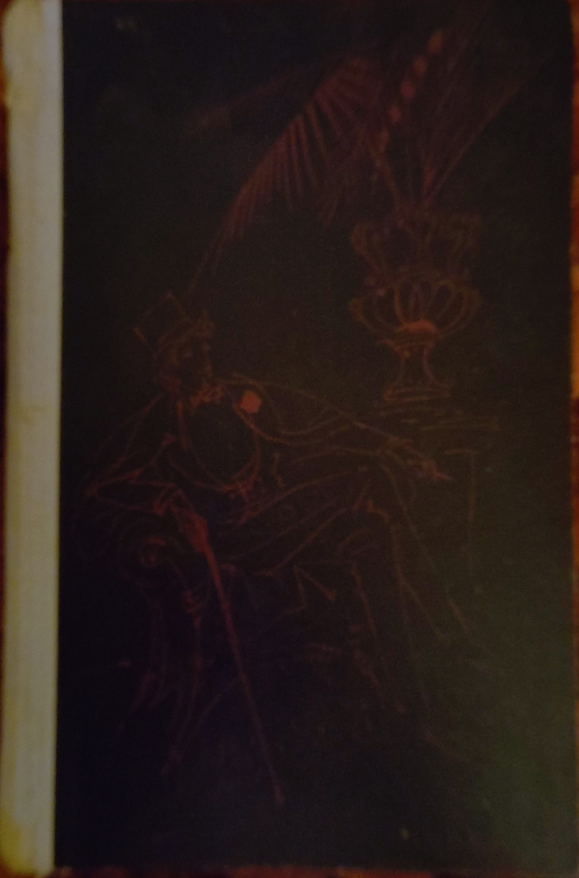 Thomas Mann: Bekenntnisse des Hochstaplers Felix Krull (Hardcover, german language, Europäischer Buchclub)