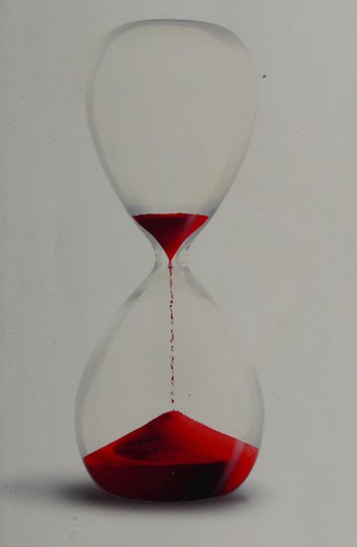 Stephenie Meyer: The Short Second Life of Bree Tanner (2012, Little, Brown Books for Young Readers)