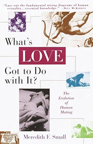 Meredith Small: What's love got to do with it? (1996)