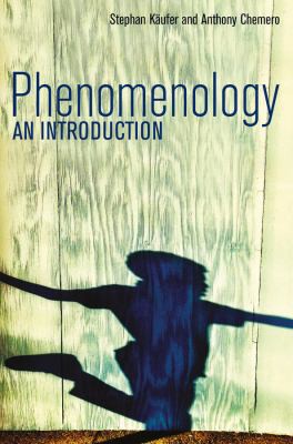 Stephan Käufer: Phenomenology (2015, Polity)