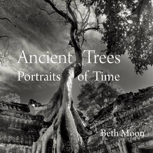 Beth Moon: Ancient Trees: Portraits of Time (2014, Abbeville Press)