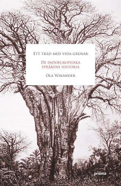 Ola Wikander: I döda språks sällskap (Swedish language, 2012, Wahlström & Widstrand)