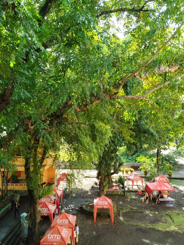 Cressida Cowell: The Wizards of Once (Paperback, 2019, Little, Brown Books for Young Readers)