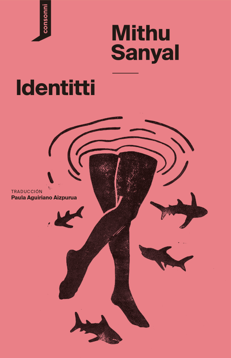 Mithu M. Sanyal: Identitti (Paperback, Consonni)