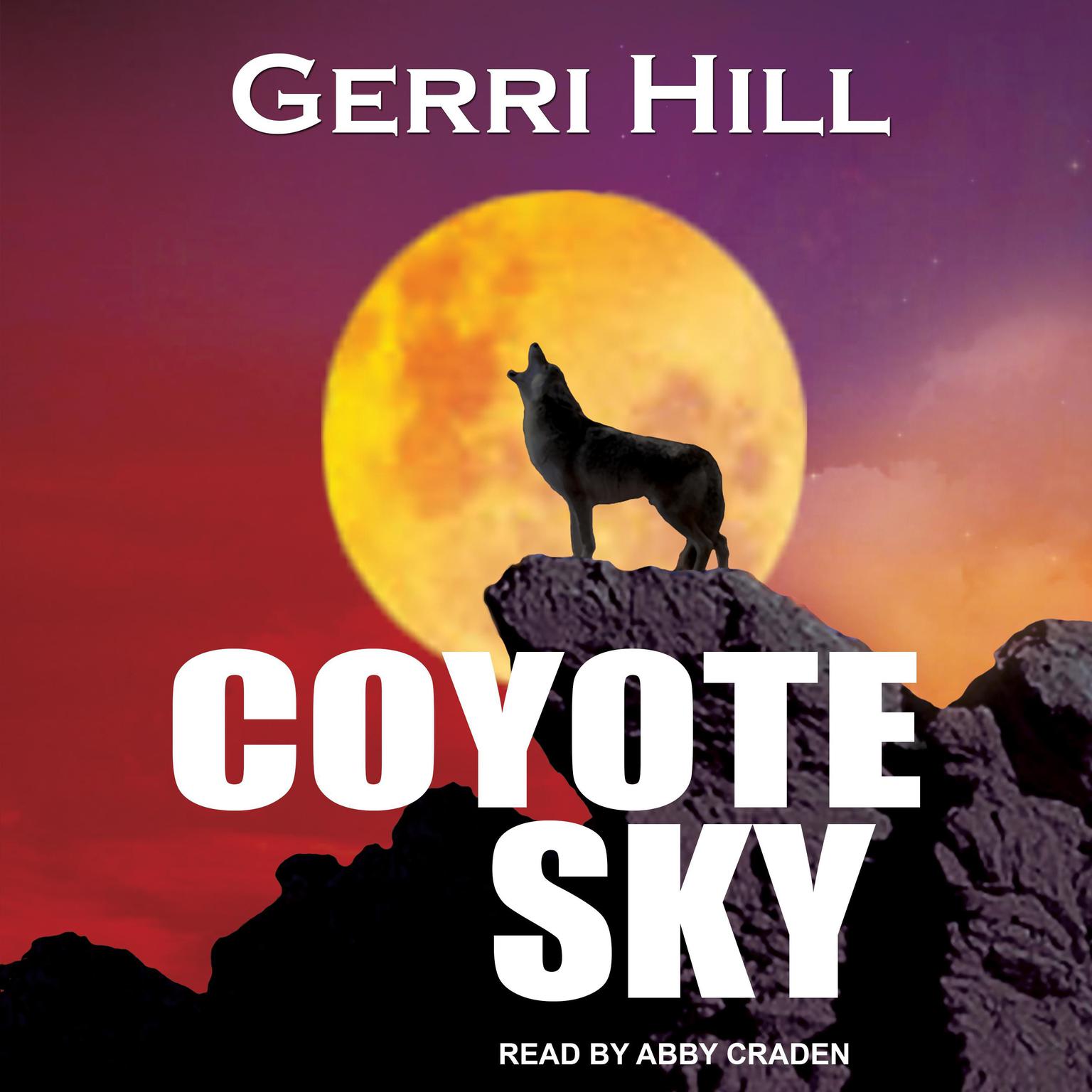 Gerri Hill: Coyote Sky (Paperback, 2006, Bella Books)