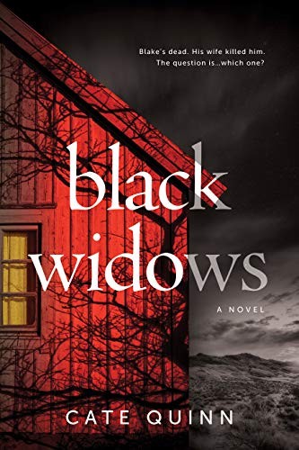Cate Quinn: Black Widows (Hardcover, 2021, Sourcebooks Landmark)