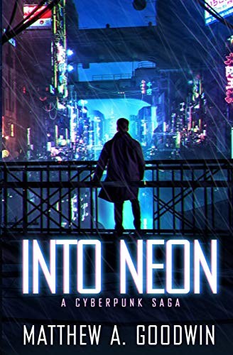 Matthew A. Goodwin: Into Neon (Paperback, Bowker)