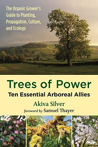 Akiva Silver: Trees of Power (Paperback, 2019, Chelsea Green Publishing)