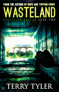 Terry Tyler: Wasteland (EBook, Terry Tyler)