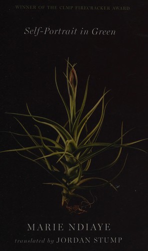 Marie NDiaye: Self-portrait in green (2014)