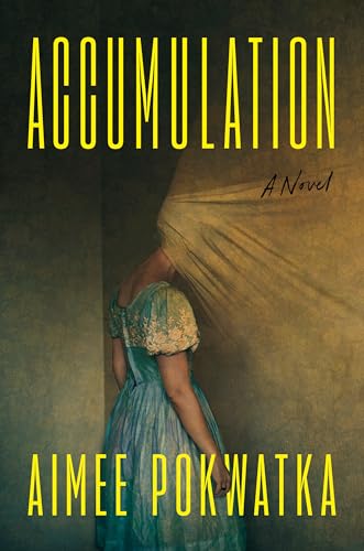 Aimee Pokwatka: Accumulation (Hardcover, G.P. Putnam's Son)