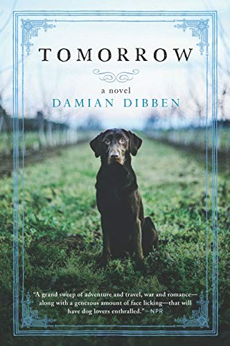 Damian Dibben: Tomorrow (Paperback, 2019, Hanover Square Press)