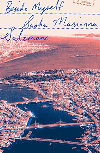 Sasha Marianna Salzmann, Imogen Taylor: Beside Myself (Paperback, Other Press)