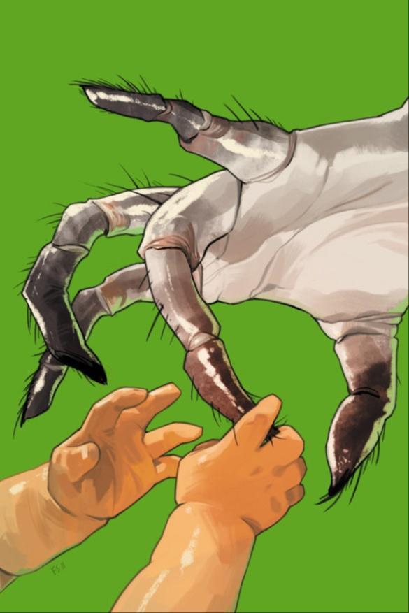 Fiona Staples, Brian K. Vaughan: Saga #2 (2012, Image Comics)