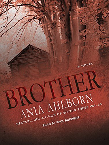 Paul Boehmer, Ania Ahlborn: Brother (AudiobookFormat, 2015, Tantor Audio)