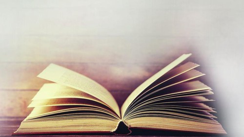 Jeff Kinney: Wimpy Kid Movie Diary (2017, Penguin Random House)